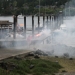 Bainbridge10