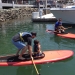 Land and Sea Festival Paddleboarders